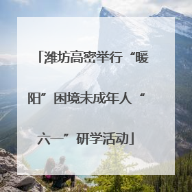 潍坊高密举行“暖阳”困境未成年人“六一”研学活动