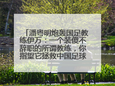 潘粤明炮轰国足教练伊万：一个装傻不辞职的所谓教练，你指望它拯救中国足球！此前曾多次发文评价国足