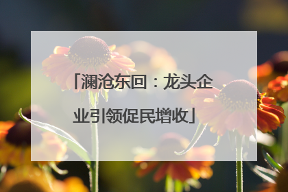 澜沧东回：龙头企业引领促民增收