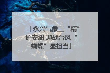 永兴气象三“精”护安澜 迎战台风“蝴蝶”显担当
