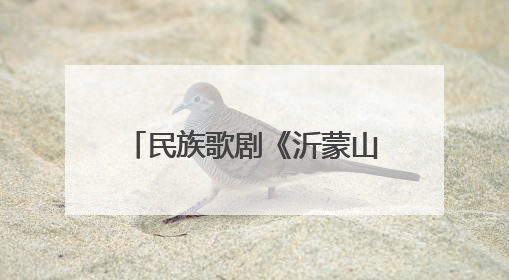 民族歌剧《沂蒙山》南宁首演讲述军民并肩作战故事