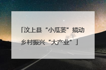 汶上县“小瓜蒌”撬动乡村振兴“大产业”