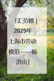 汇劳模｜2025年上海市劳动模范——杨洪山