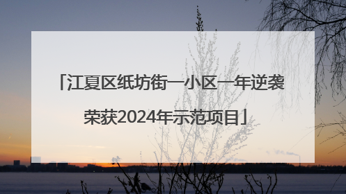江夏区纸坊街一小区一年逆袭 荣获2024年示范项目