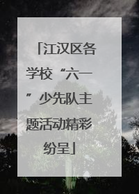 江汉区各学校“六一”少先队主题活动精彩纷呈