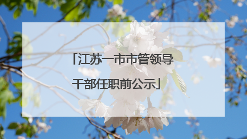 江苏一市市管领导干部任职前公示