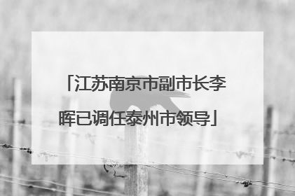 江苏南京市副市长李晖已调任泰州市领导