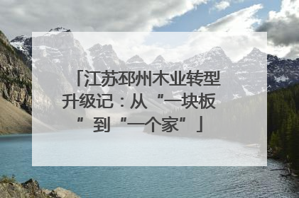 江苏邳州木业转型升级记：从“一块板”到“一个家”