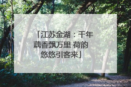江苏金湖：千年藕香飘万里 荷韵悠悠引客来
