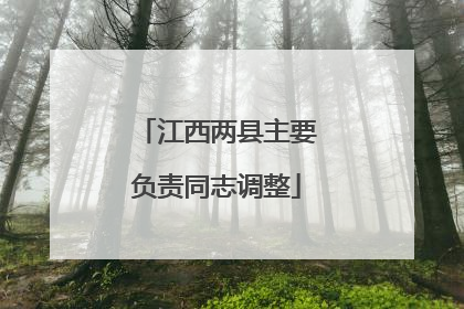江西两县主要负责同志调整