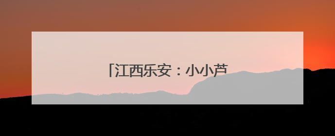 江西乐安：小小芦笋“破”出致富路