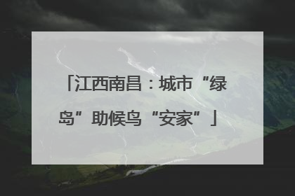 江西南昌：城市“绿岛”助候鸟“安家”