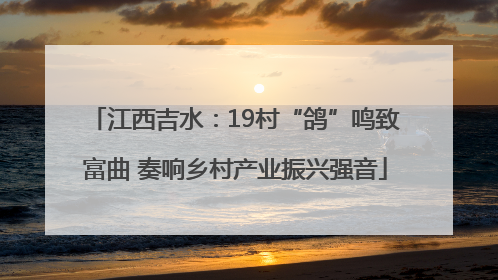 江西吉水：19村“鸽”鸣致富曲 奏响乡村产业振兴强音