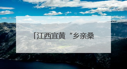江西宜黄“乡亲桑梓行 浓浓赣港情”活动圆满收官