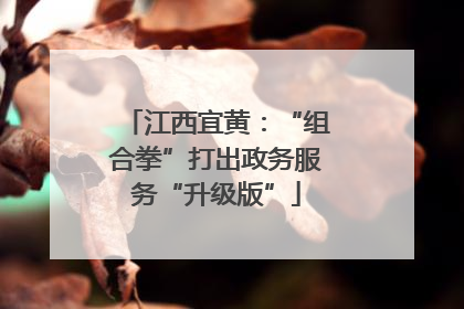 江西宜黄：“组合拳”打出政务服务“升级版”
