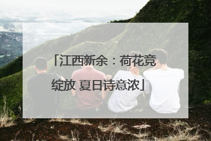 江西新余：荷花竞绽放 夏日诗意浓