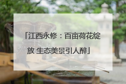 江西永修：百亩荷花绽放 生态美景引人醉