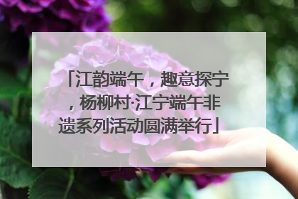 江韵端午，趣意探宁，杨柳村·江宁端午非遗系列活动圆满举行