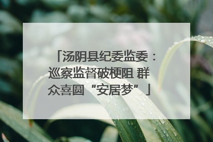 汤阴县纪委监委：巡察监督破梗阻 群众喜圆“安居梦”