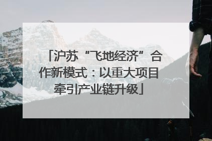 沪苏“飞地经济”合作新模式：以重大项目牵引产业链升级