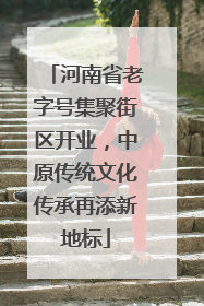 河南省老字号集聚街区开业，中原传统文化传承再添新地标