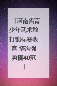 河南省青少年武术散打锦标赛收官 塔沟强势摘40冠