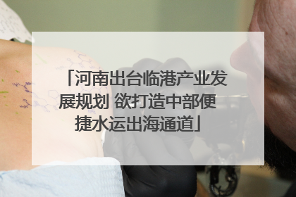 河南出台临港产业发展规划 欲打造中部便捷水运出海通道