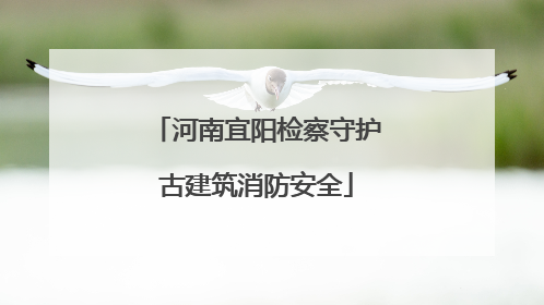 河南宜阳检察守护古建筑消防安全