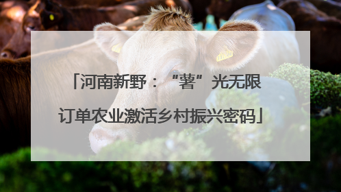 河南新野：“薯”光无限 订单农业激活乡村振兴密码