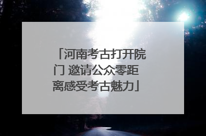 河南考古打开院门 邀请公众零距离感受考古魅力