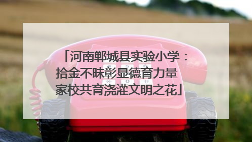 河南郸城县实验小学：拾金不昧彰显德育力量 家校共育浇灌文明之花