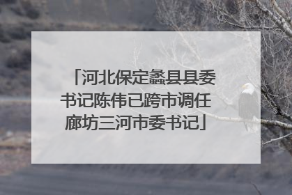 河北保定蠡县县委书记陈伟已跨市调任廊坊三河市委书记