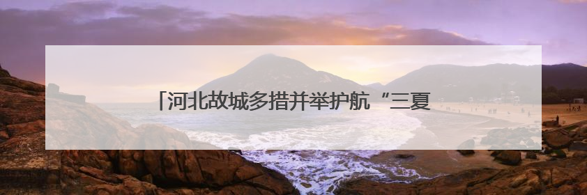 河北故城多措并举护航“三夏”生产 确保夏粮颗粒归仓