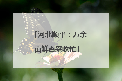 河北顺平：万余亩鲜杏采收忙