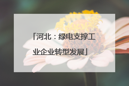 河北：绿电支撑工业企业转型发展
