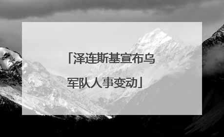 泽连斯基宣布乌军队人事变动