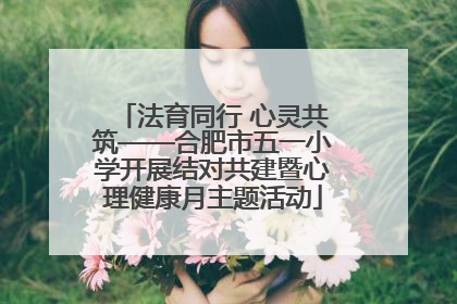 法育同行 心灵共筑——合肥市五一小学开展结对共建暨心理健康月主题活动