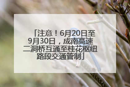 注意！6月20日至9月30日，成南高速二洞桥互通至桂花枢纽路段交通管制