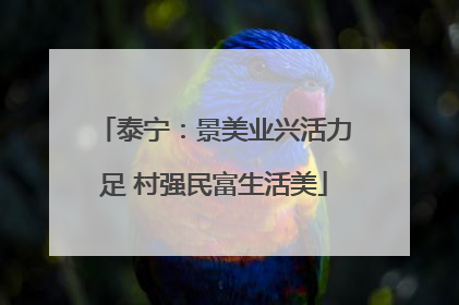 泰宁：景美业兴活力足 村强民富生活美