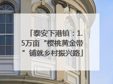 泰安下港镇：1.5万亩“樱桃黄金带”铺就乡村振兴路