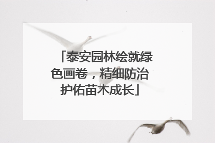 泰安园林绘就绿色画卷，精细防治护佑苗木成长