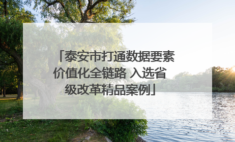 泰安市打通数据要素价值化全链路 入选省级改革精品案例