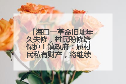 海口一革命旧址年久失修，村民盼修缮保护！镇政府：属村民私有财产，将继续争取修缮资金