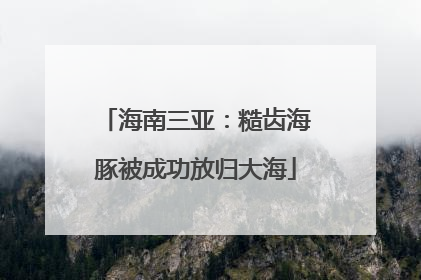 海南三亚：糙齿海豚被成功放归大海