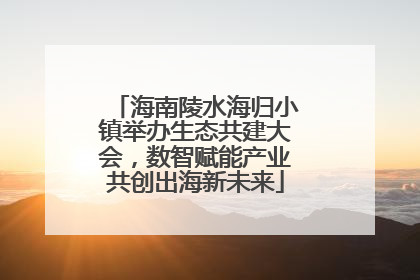 海南陵水海归小镇举办生态共建大会，数智赋能产业共创出海新未来