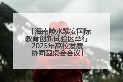 海南陵水黎安国际教育创新试验区举行2025年高校发展协同圆桌会会议