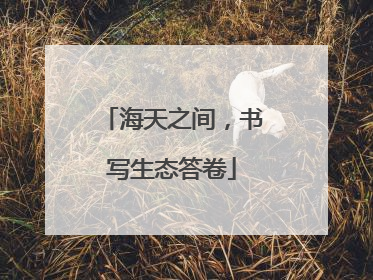 海天之间，书写生态答卷