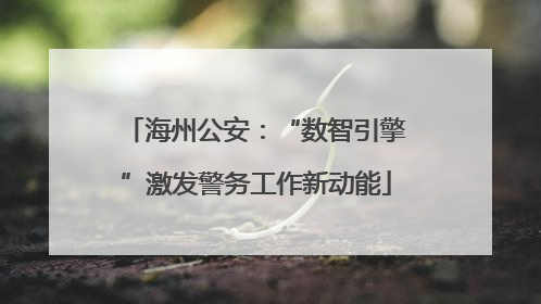 海州公安：“数智引擎”激发警务工作新动能