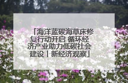 海洋蓝碳海草床修复行动开启 循环经济产业助力低碳社会建设丨新经济观察