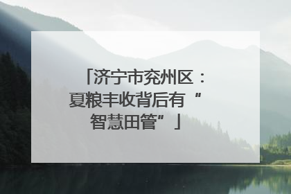 济宁市兖州区：夏粮丰收背后有“智慧田管”